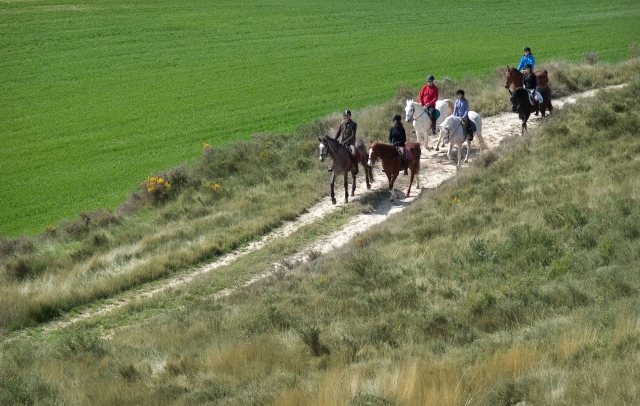  Le long du chemin